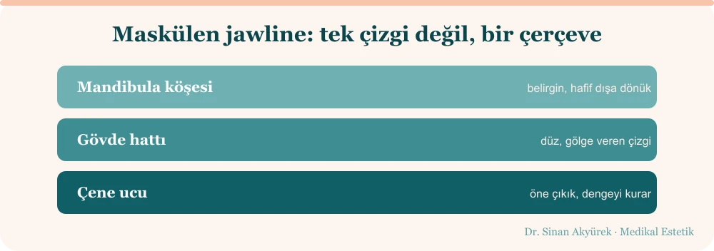 Maskülen jawline çerçevesinin üç yapısal durağı: mandibula köşesi, gövde hattı ve çene ucu
